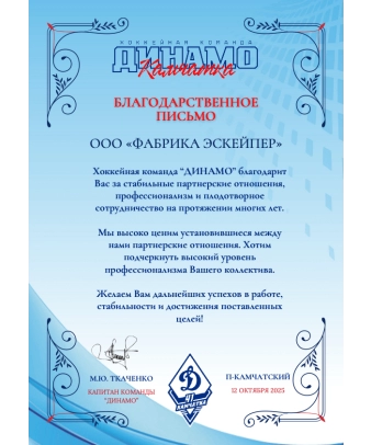 Благодарственное письмо ХК Динамо